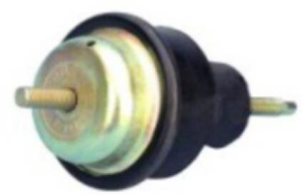 GLD-00002